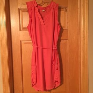 Francesca’s Pink Owl dress